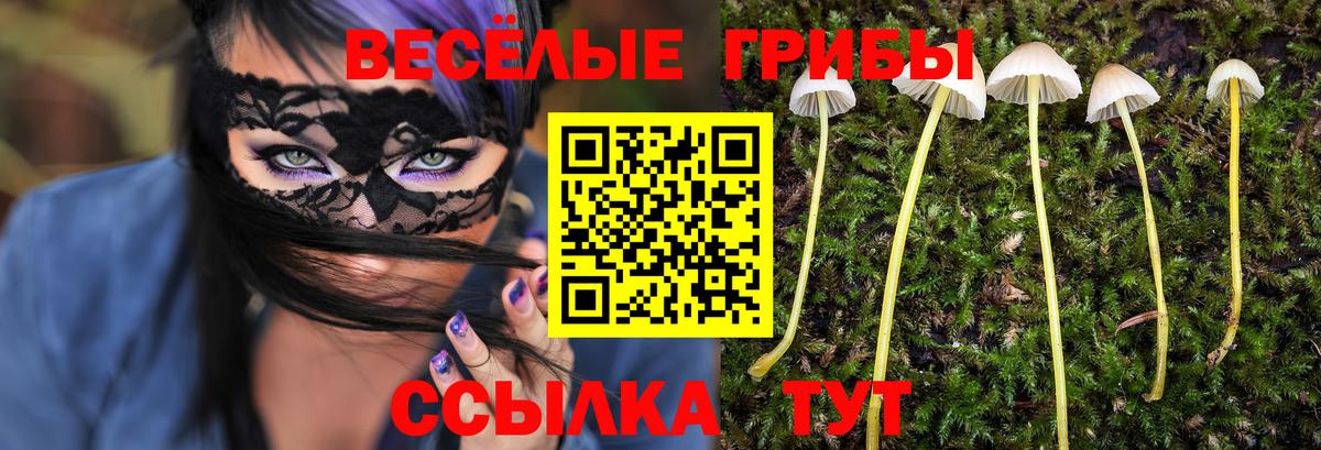 Псилоцибиновые грибы мухоморы Протвино