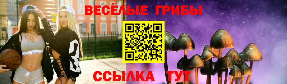 купить закладку  Псилоцибиновые грибы MAGIC MUSHROOMS  Вход с VPN  Протвино  Псилоцибиновые грибы мухоморы 